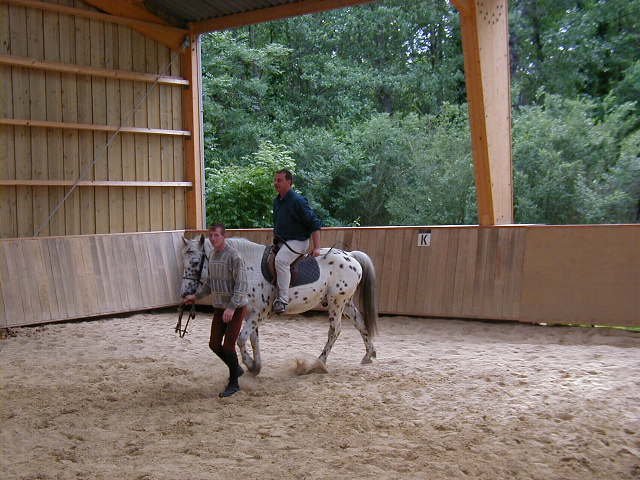 cheval_arc_10_20091008_1621563430