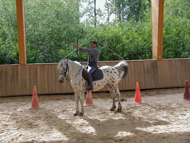 cheval_arc_12_20091008_1553314656