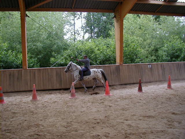 cheval_arc_14_20091008_2093988701