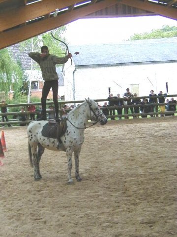 cheval_arc_4_20091008_1943505445