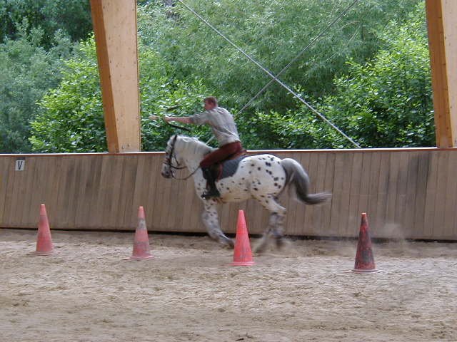 cheval_arc_5_20091008_1164552482