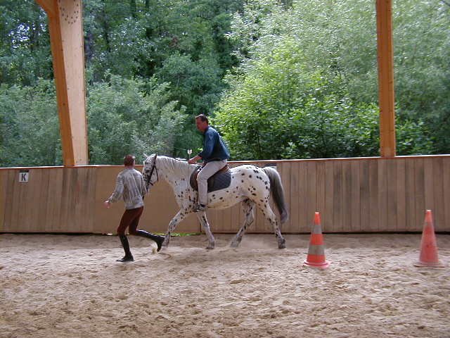 cheval_arc_9_20091008_1445040179