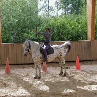 cheval_arc_12_20091008_1553314656