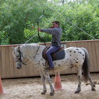 cheval_arc_13_20091008_1578370581