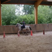 cheval_arc_14_20091008_2093988701