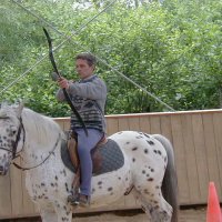 cheval_arc_15_20091008_1074703496