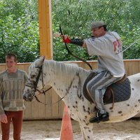 cheval_arc_1_20091008_1194072895