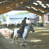 cheval_arc_2_20091008_1974205416