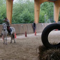 cheval_arc_3_20091008_1566474518