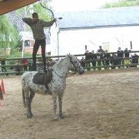 cheval_arc_4_20091008_1943505445