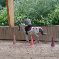 cheval_arc_5_20091008_1164552482