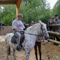 cheval_arc_6_20091008_1106800555