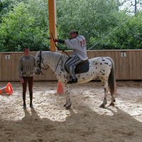 cheval_arc_7_20091008_1580227892