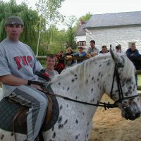 cheval_arc_8_20091008_1987809572