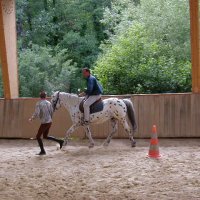 cheval_arc_9_20091008_1445040179