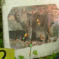 hb_15_20091008_1302785737