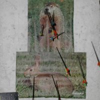 hb_26_20091008_1155281091