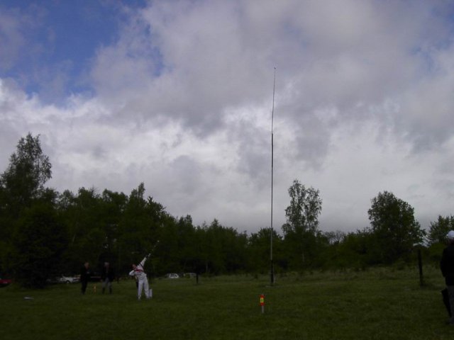 roitelet_10_20091008_1873028762