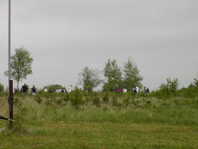 roitelet_3_20091008_1734393556