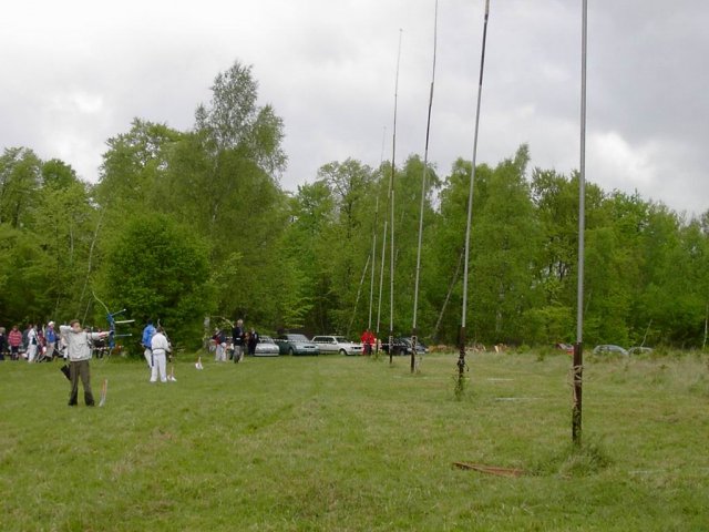 roitelet_5_20091008_1508676143