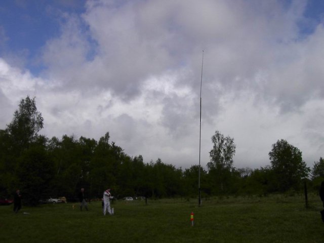 roitelet_9_20091008_1584434909