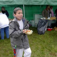 roitelet_13_20091008_1527069497