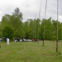 roitelet_5_20091008_1508676143