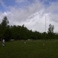 roitelet_7_20091008_1203120525