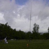 roitelet_8_20091008_2073147460