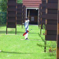 royessonne_18_20091008_1752721006