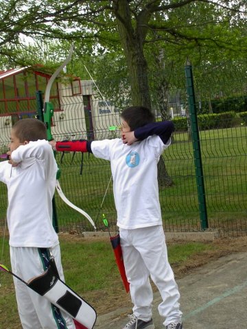 lesulis_41_20091008_1584646631