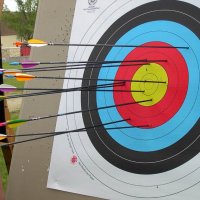 lesulis_31_20091008_1205574648