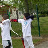 lesulis_41_20091008_1584646631