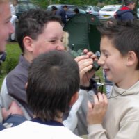 lesulis_47_20091008_1439139971