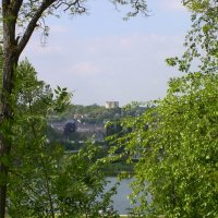 handi_19_20091013_1408599320