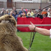 medievaletampes_103_20091013_1811710630