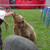 medievaletampes_104_20091013_1322902774