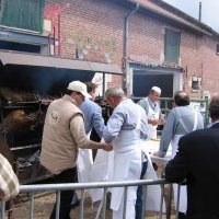 bouquetprovincial_9_20091009_1734509879