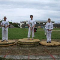 lesulis_3_20091009_1927379915