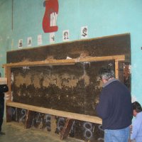 murdetir_5_20091009_1071827125