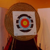 telethon_2_20091012_2002960275