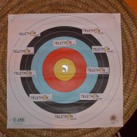 telethon_5_20091012_1469971040