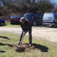 tirduroy_3_20091012_1693106060