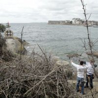 concarneau_14_20100429_1897871644