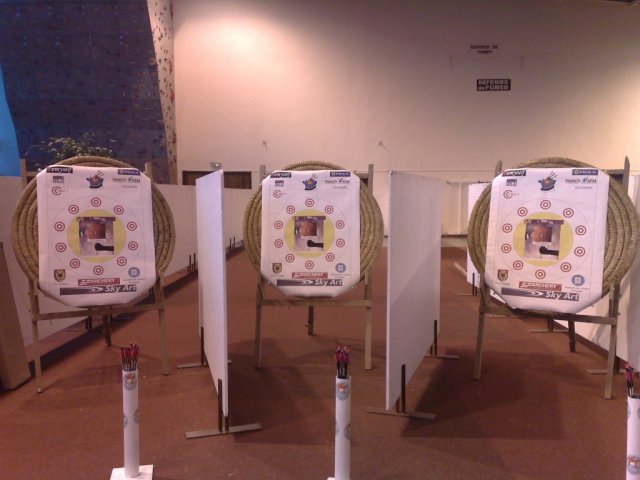 telethon2009_12_20091206_1838749263