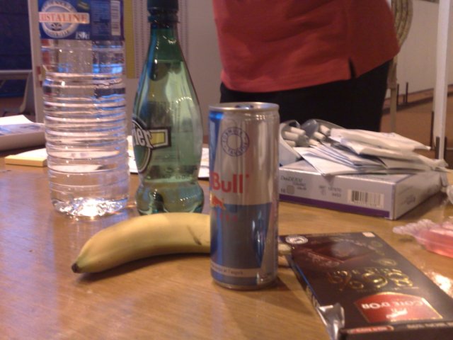 telethon2009_4_20091206_2062466015