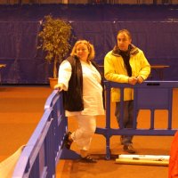 2009telethon_11_20091212_1146008207