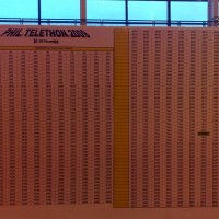 telethon2009_28_20091206_1922458427