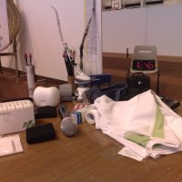 telethon2009_29_20091206_1850763504