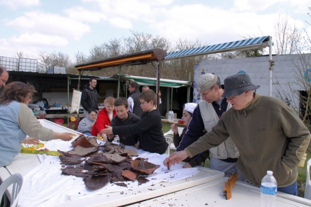 roy2010_11_20100418_1489027542